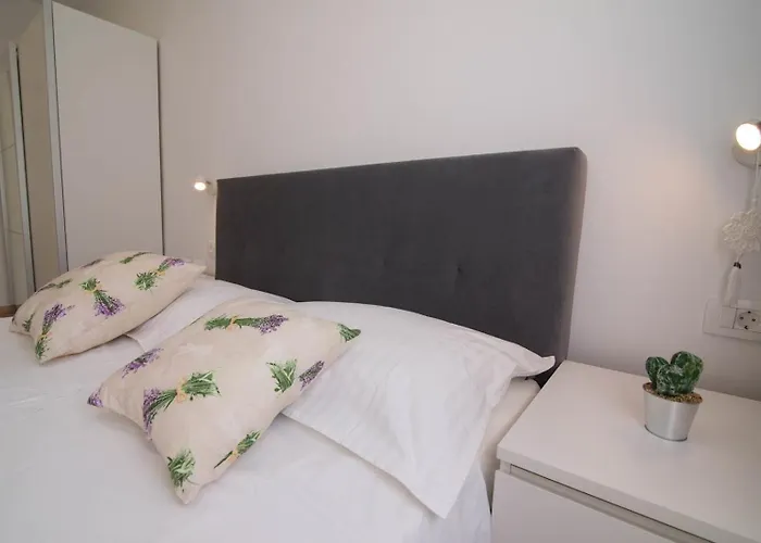 Complex 21 Gæstehus 3*