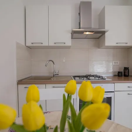 게스트하우스 Complex 21 3*